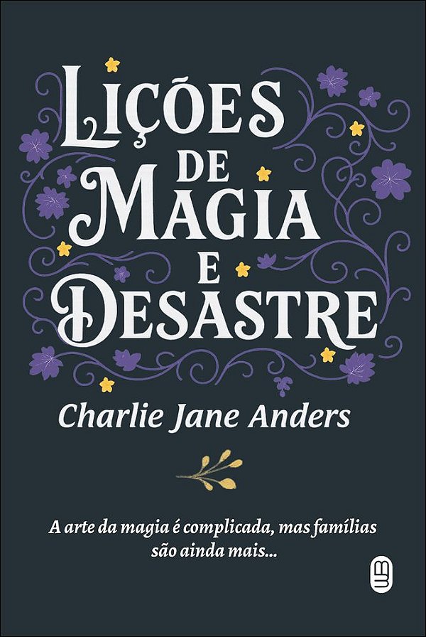 Livro Lições de magia e desastre
