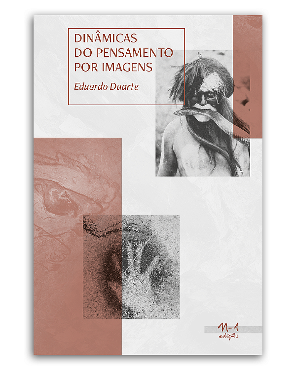 Livro Dinâmicas do pensamento por imagens
