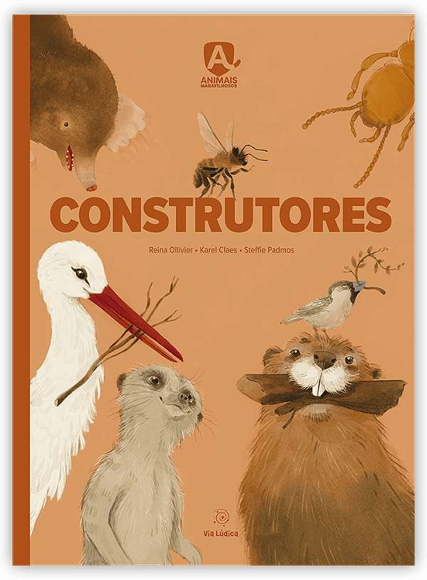 Livro Construtores