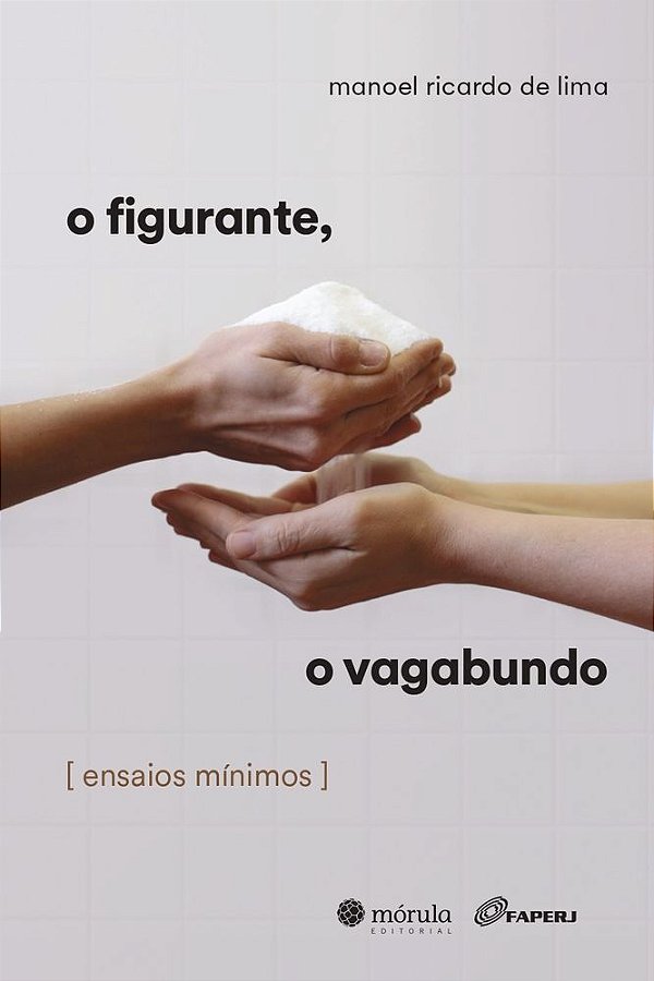 Livro o figurante, o vagabundo: [ensaios mínimos]