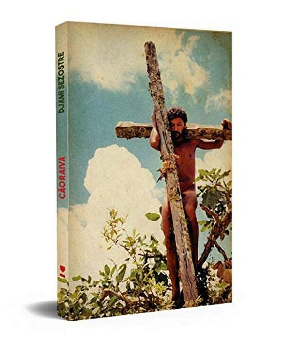 Livro Cão raiva