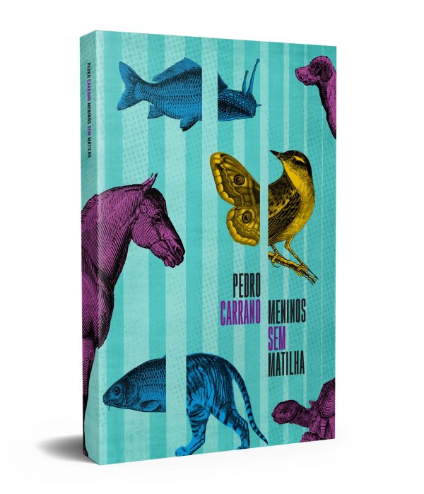 Livro Meninos sem matilha