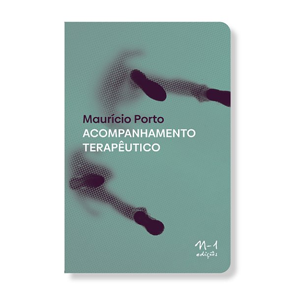 Livro Acompanhamento terapêutico