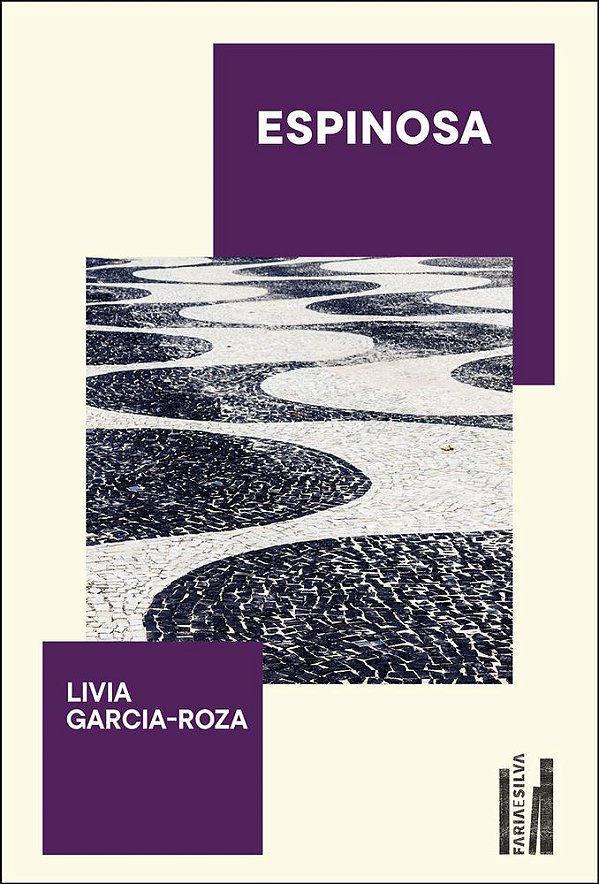 Livro Espinosa