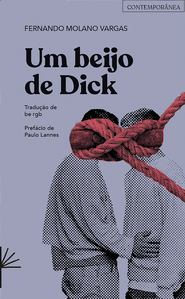 Livro Um Beijo De Dick