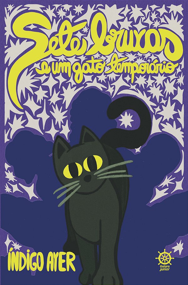 Livro Sete Bruxas E Um Gato Temporário