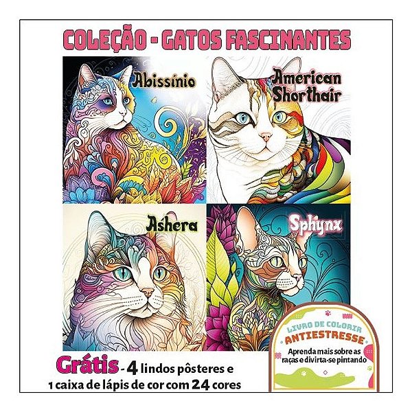 Livro Coleção - Gatos Fascinantes
