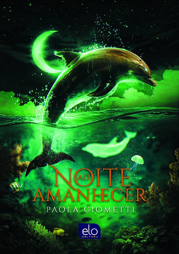 Livro Noite Ao Amanhecer