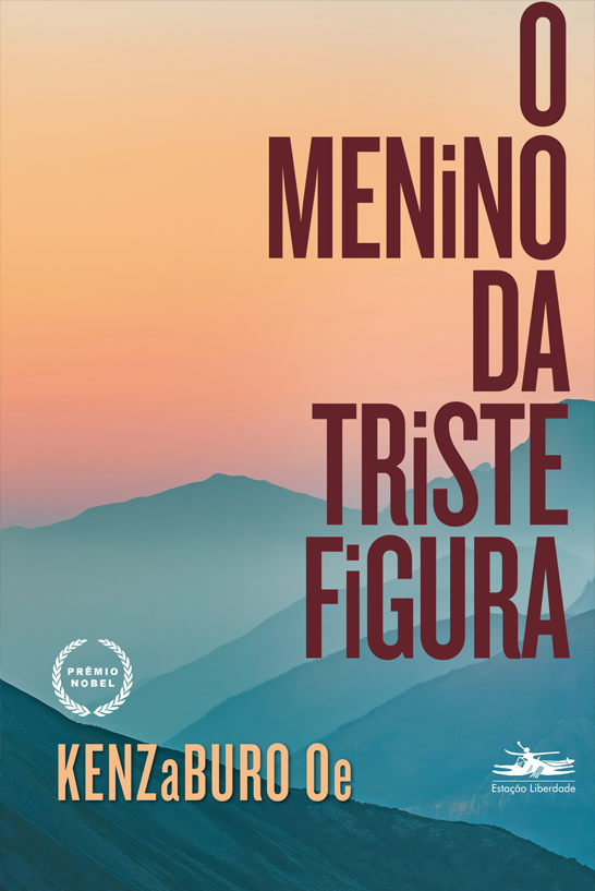 Livro O menino da triste figura