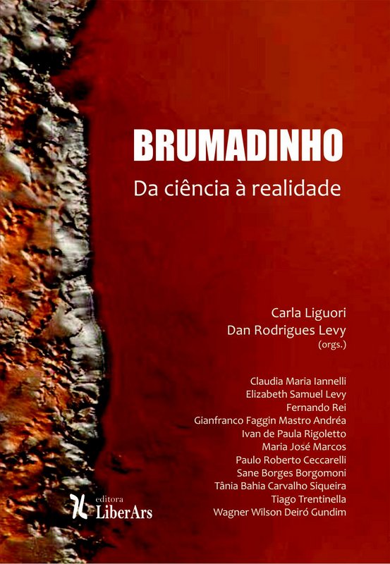 Livro Brumadinho - Da Ciência À Realidade