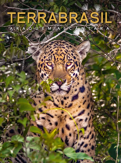 Livro TerraBrasil