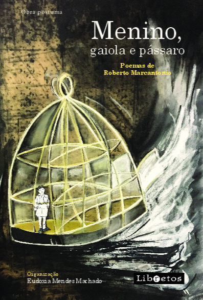 Livro Menino, gaiola e pássaro: poemas de Roberto Marcant...