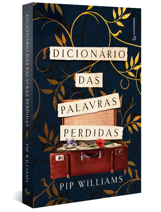 Livro Dicionário das palavras perdidas