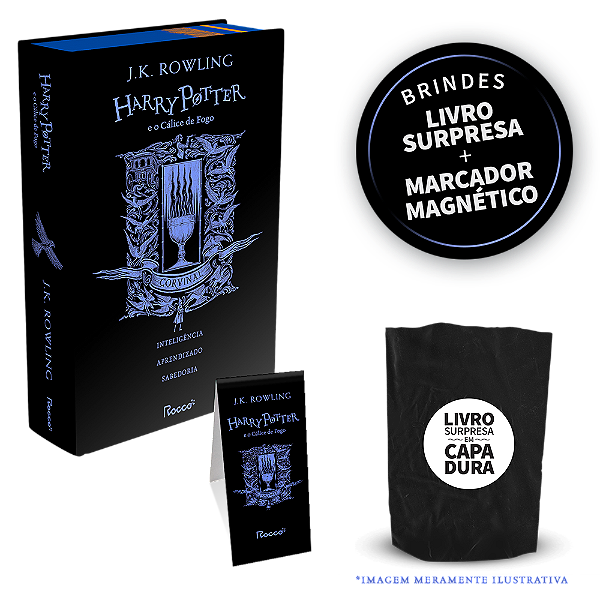 Livro Harry Potter E O Cálice De Fogo: Hp Casas De Hogwar...