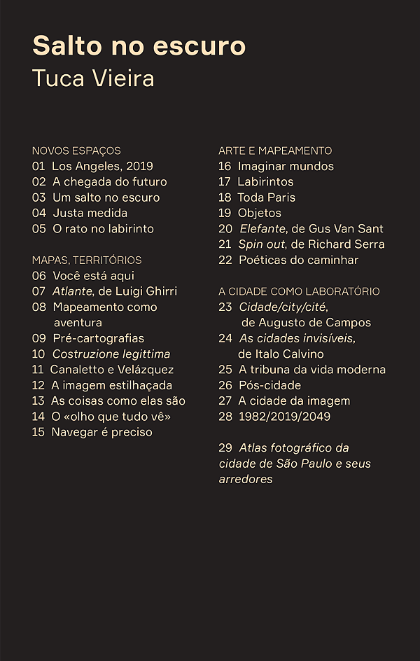 Livro Salto no escuro: leituras do espaço contemporâneo