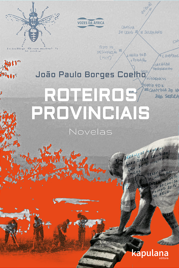 Livro Roteiros provinciais: Novelas (Volume 1)