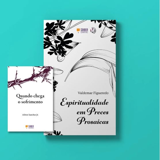 Livro Espiritualidade Em Preces Prosaicas