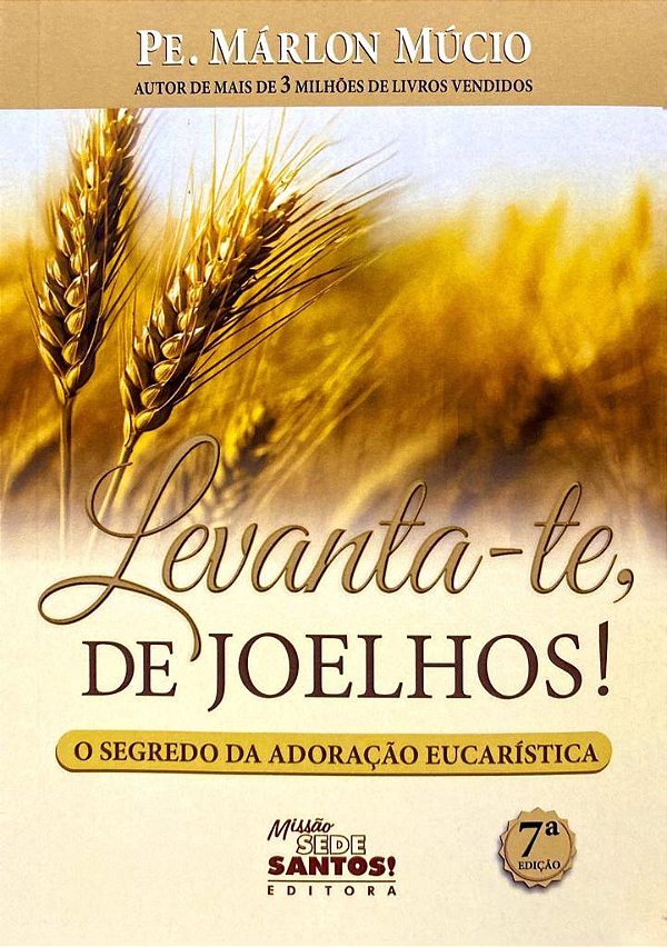 Livro Levanta-Te De Joelhos !