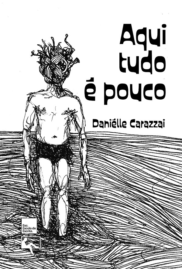 Livro Aqui Tudo É Pouco