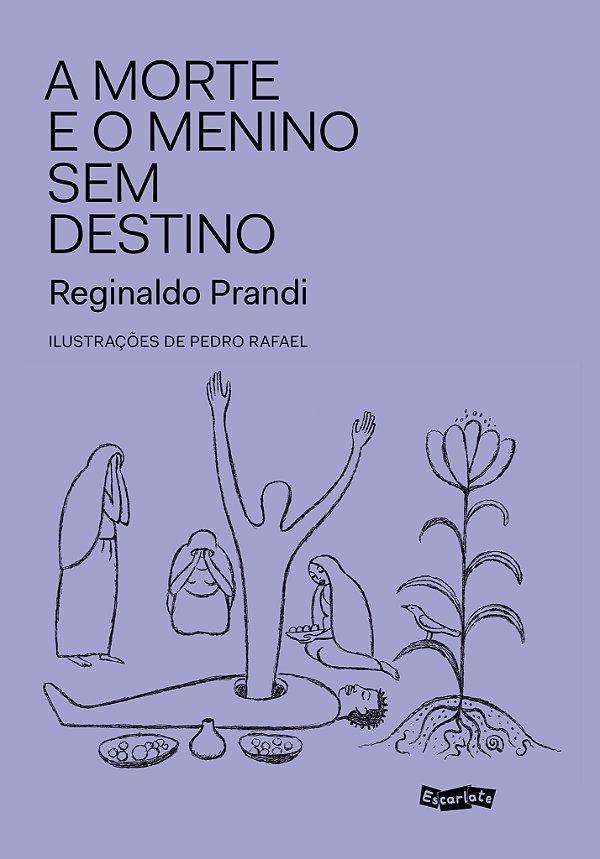 Livro A Morte E O Menino Sem Destino
