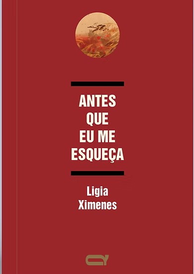 Livro Antes Que Eu Me Esqueça