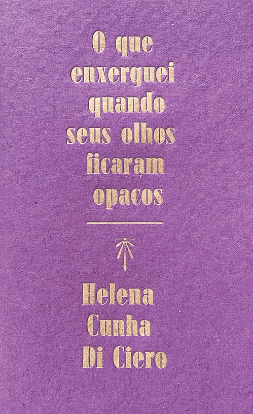 Livro O Que Enxerguei Quando Seus Olhos Ficaram Opacos
