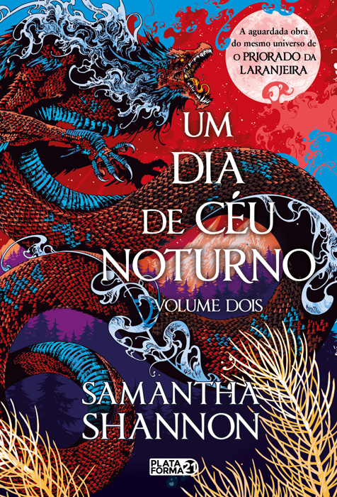 Livro Um Dia De Céu Noturno - Vol.02