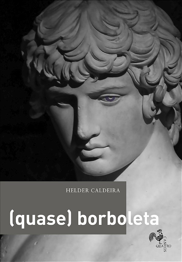 Livro (Quase) Borboleta
