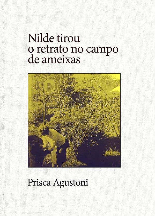 Livro Nilde Tirou O Retrato No Campo De Ameixas (Coleção ...