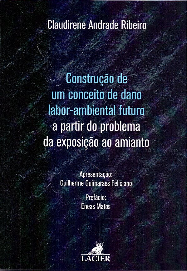 Livro Construção De Um Conceito De Dano Labor-Ambiental