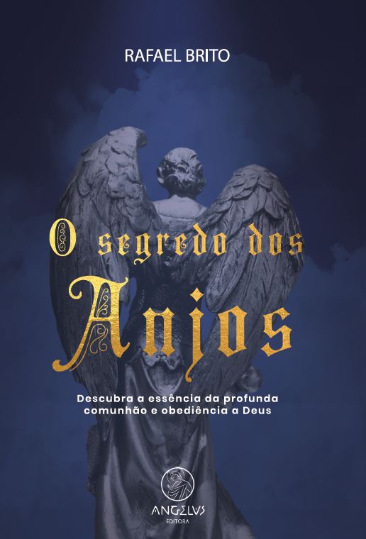 Livro O segredo dos anjos