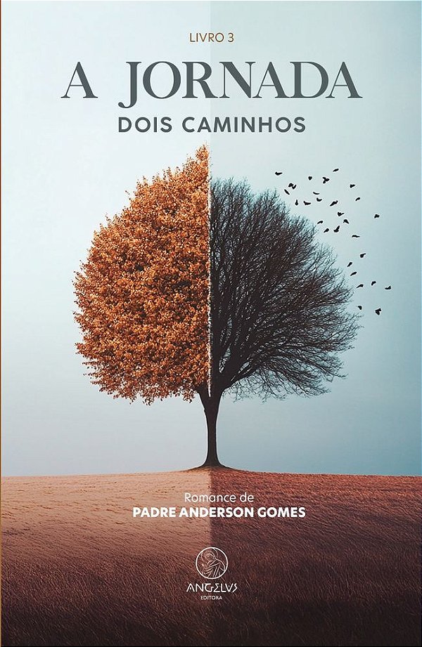 Livro A Jornada - Dois Caminhos: Romance de Padre Anderson Gome...