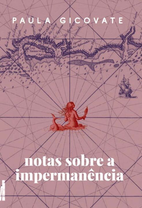 Livro Notas sobre a impermanência