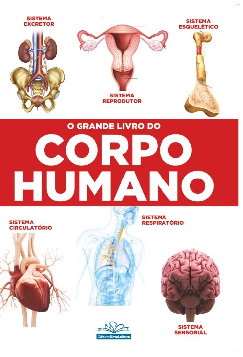 Livro O grande livro do corpo humano
