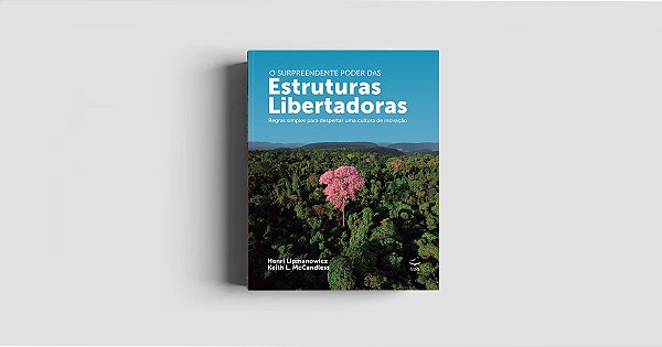 Livro Estruturas libertadoras: Regras simples para desper...