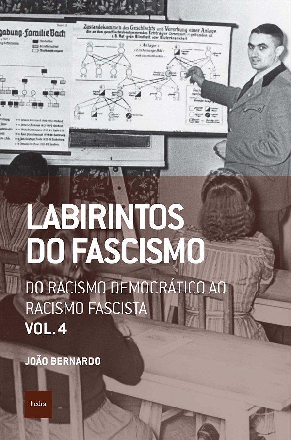 Livro Labirintos do fascismo: Do racismo democrático ao r...