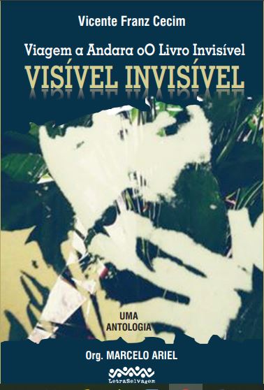 Livro Viagem a Andara oO Livro Invisível: Visível invisív...