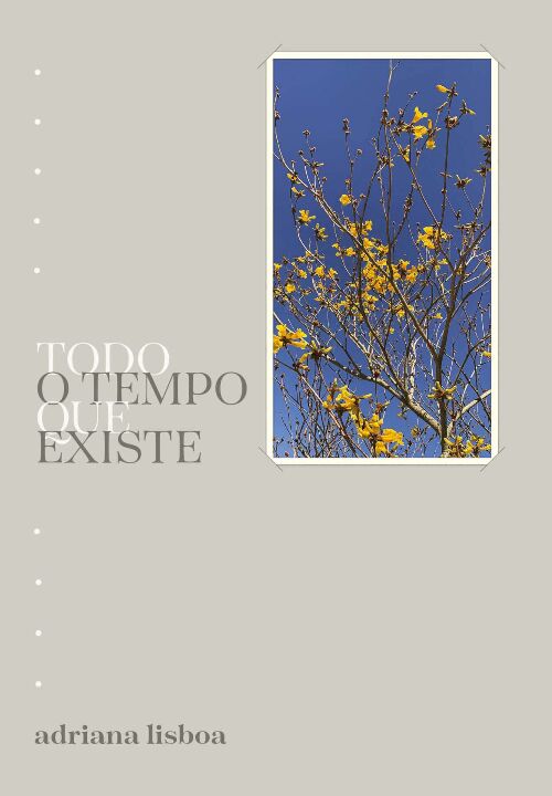 Livro Todo o tempo que existe