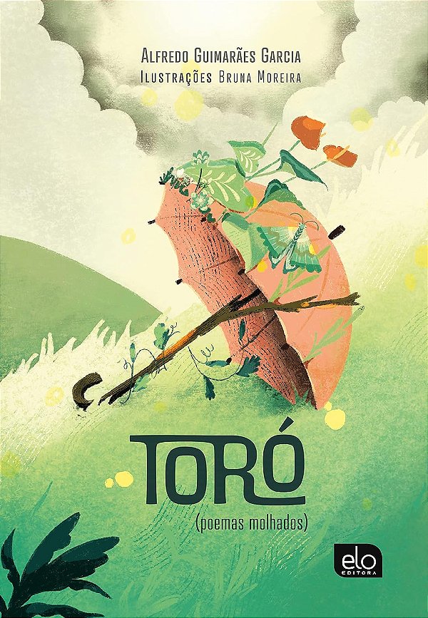 Livro Toró
