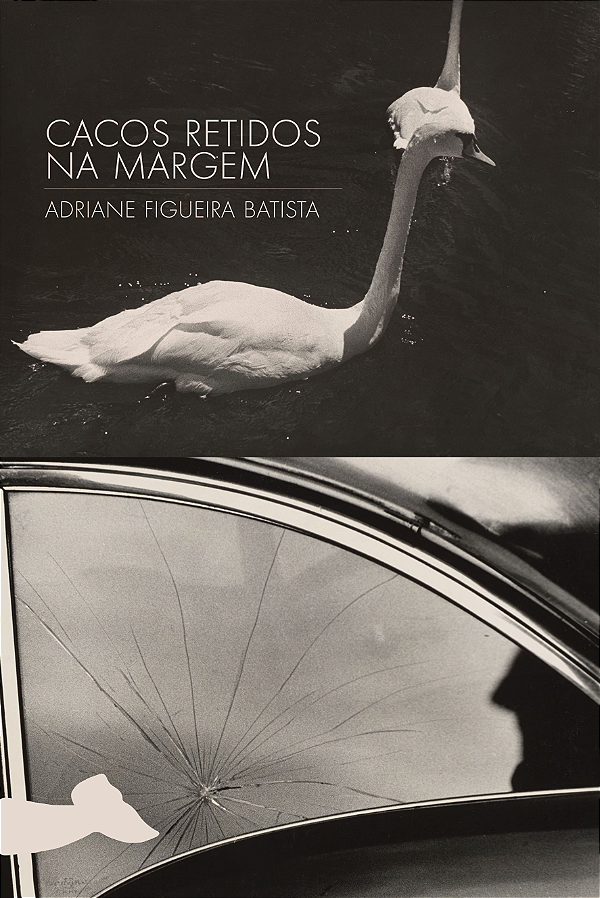 Livro Cacos Retidos Na Margem