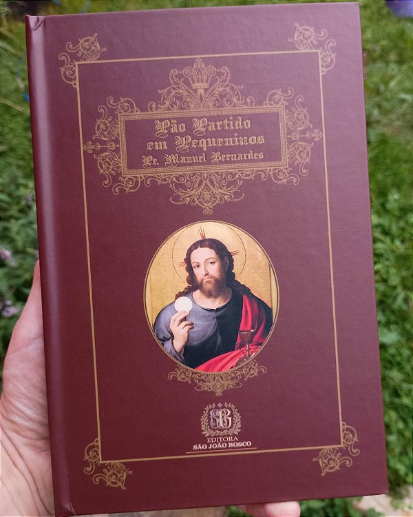 Livro Pão Partido Em Pequeninos
