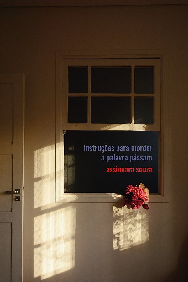 Livro Instruções para morder a palavra pássaro
