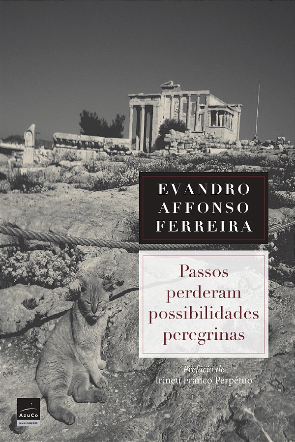 Livro Passos perderam possibilidades peregrinas