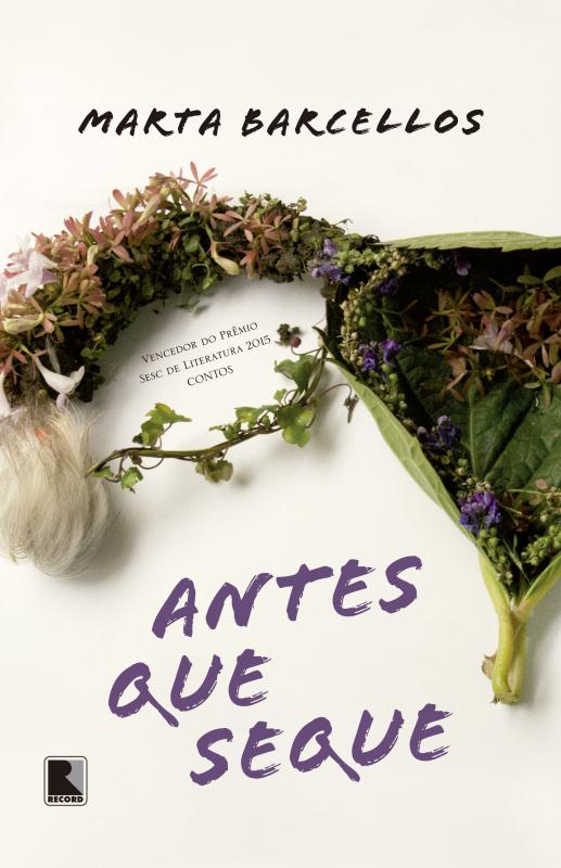 Livro Antes Que Seque