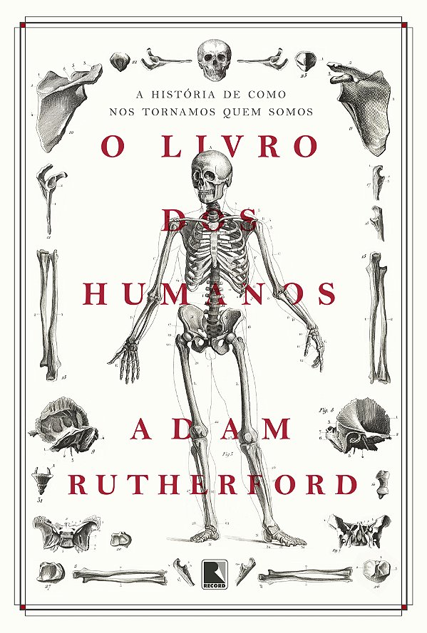 Livro O livro dos humanos: A história de como nos tornamo...