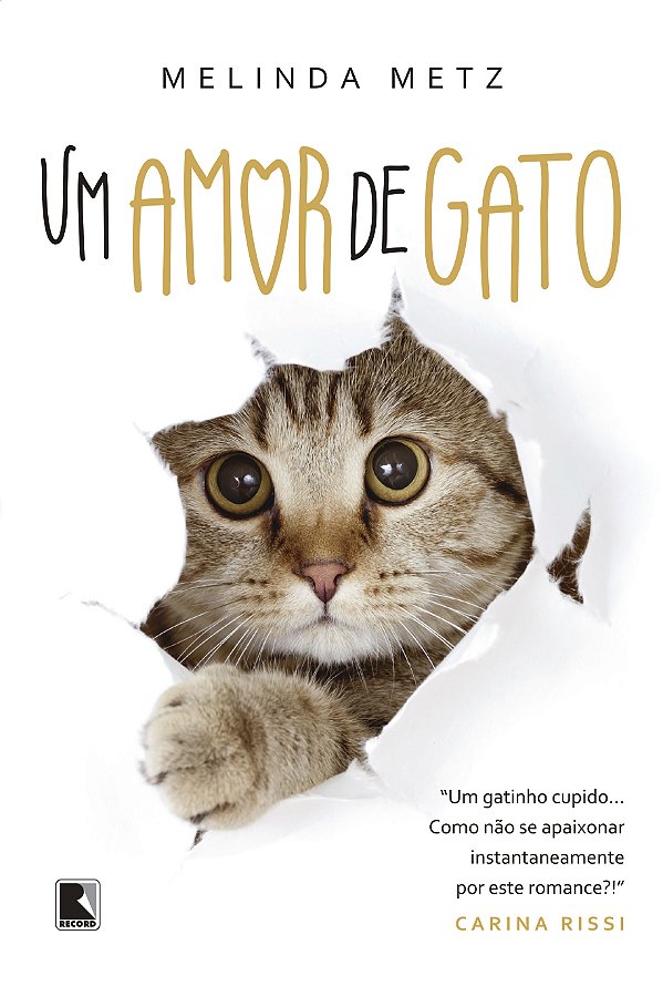 Livro Um amor de gato