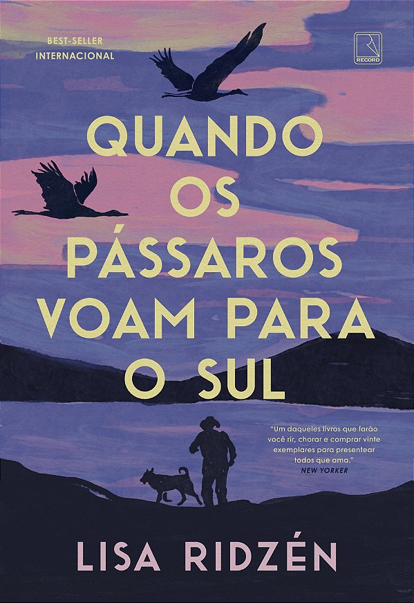 Livro Quando os pássaros voam para o sul
