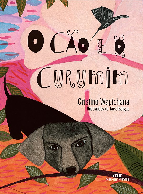 Livro O cão e o curumim