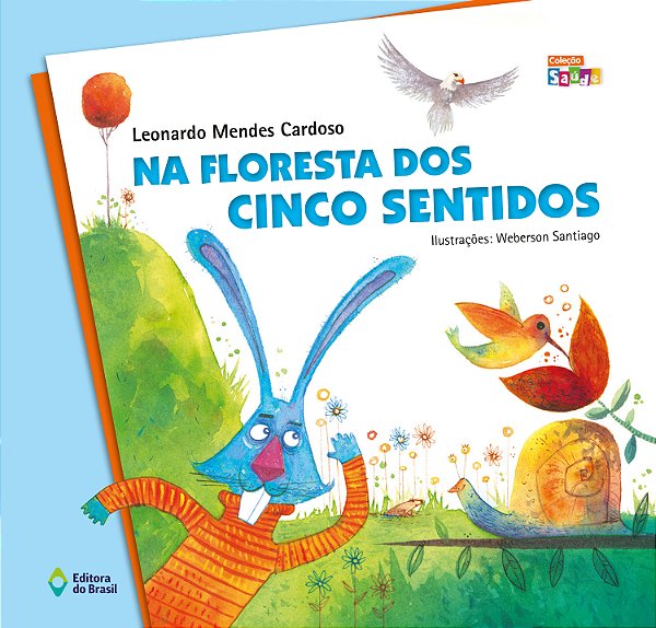 Livro Na Floresta Dos Cinco Sentidos