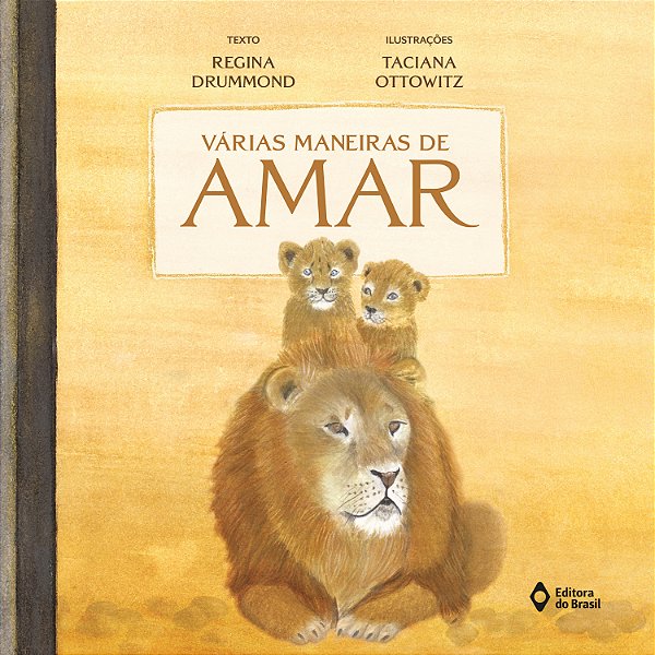 Livro Várias Maneiras De Amar